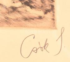 Csók István (1865-1961) - Prihoda István (1891-1956): Züzü az ablakban. Színezett rézkarc, papír, je...