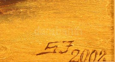 EJ jelzéssel: Napraforgós csendélet. Olaj, karton, 32x22 cm Keretben