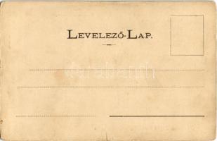 Tápiószele, Gyógyszertár udvar. Hoffer Sámuel és fia kiadása (kis szakadás / small tear)