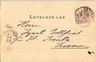 1899 Sátoraljaújhely, M. kir. államvasutak gyártelepe, gőzmozdony, városház, M. kir. dohánygyár. Löv...