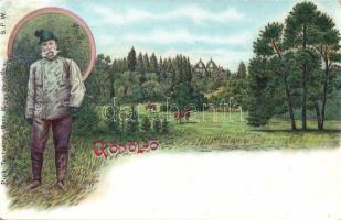 Gödöllő, Ferenc József Litho