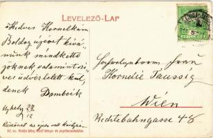 1919 Sátoraljaújhely, Wekerle tér, Szegő Sándor, Wellesz József, Barna Dezső üzletei, Rude Bernát ór...