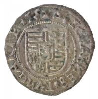 1527. Denár Ag "Szapolyai János" (0,58g) T:1- / 
Hungary 1527. Denar Ag "John I"...