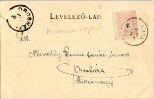 1899 Máramaros, Maramures; Juhsavó kúra telep Máramaros megyében. Kiadja Mayer & Berger / Whey t...