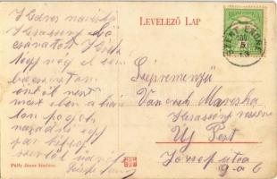 1909 Szentendre, Budapesti Kerületi Munkásbiztosító Pénztár üdülő háza, szanatórium, Ábrányi villa. ...