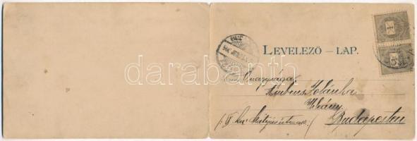 1900 Újvidék, Novi Sad; kihajtható panorámalap, pontonhíd szétnyitott állapotban, vontató gőzhajó. K...