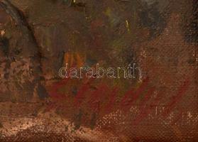 Élesdy István (1912-1987): Halászbástya. Olaj, vászon , jelzett, sérült keretben, 50×70 cm