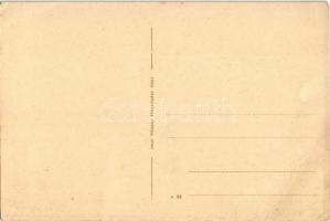 Tápiószecső, Jenny telepi borház (tervezte Hübschl építész Vác), szőlőskert. Impr Báskay fényképész ...