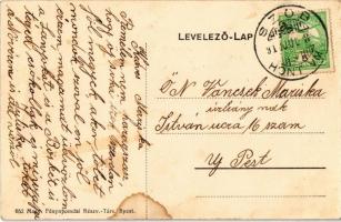 Szob, vasútállomás, Luzenbacher kastély (fl)