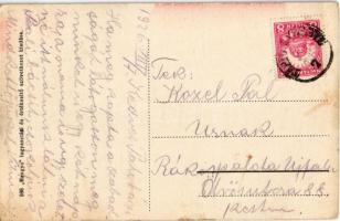 1926 Tápiógyörgye, Györgyei kastély bejárata  (EK)