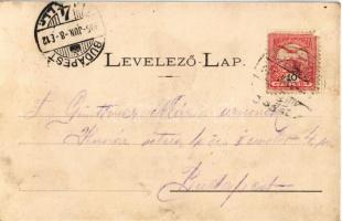 1905 Tápiószele, vasútállomás, főurak és vasutasok társasága. Kapható Hoffer Ignác kereskedésében (v...