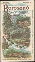 1895 Borosznó (Felvidék) Gyógyfürdő ismertetése, színes litografált címlappal és hátsó borítóval, szép állapotban, 16p