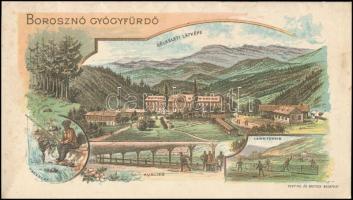 1895 Borosznó (Felvidék) Gyógyfürdő ismertetése, színes litografált címlappal és hátsó borítóval, sz...