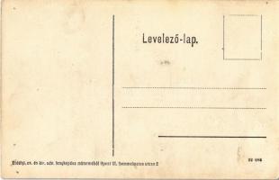 Tápiósáp (Sülysáp), Sőtér kastély, park (apró lyukak / tiny pinholes)