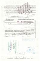 USA 1956-75. 6db klf részvény