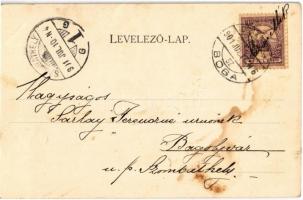 1901 Badacsony, szőlőhegy és villák (fl)