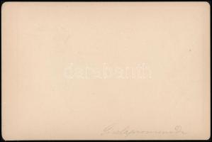 cca 1890 Merano (Meran, Dél-Tirol), Gizella sétány, keményhátú fotó S. Pötzelberger műterméből, szép...