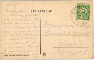 1909 Badacsony, szőlőhegy. Divald Károly 1908