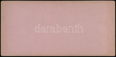 1895 Niederdorf (Dél-Tirol, Olaszország), sztereófotó, 8,5×17,5 cm / Villabassa ( South Tyrol), ster...