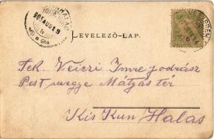 1905 Veszprém, Fő tér, piac árusokkal, Fekete Gyula üzlete, fogyasztási szövetkezet, Pósa Endre köny...