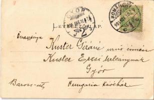 1905 Veszprém, vár a Buhim-völgyből. Pósa Endre kiadása  (EK)