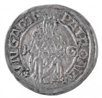 1519K-G Denár Ag II. Lajos (0,59g) T:1- Hungary 1519K-G Denar Ag Louis II (0,59g) C:AU Huszár: 841., Unger I.: 673.m