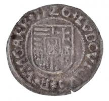 1526. Denár Ag "II. Lajos" kassai veret (0,53g) T:1-,2 / 
Hungary 1526. Denar Ag "Lo...