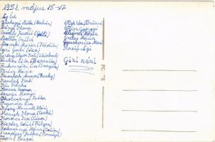 Ágasvár (Mátra), Pásztó mellett; margaréta virág begyűjtése, virágszedők. photo