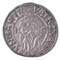 1516K-G Denár Ag II. Lajos (0,54g) T:1- Hungary 1516K-G Denar Ag Louis II (0,54g) C:AU Huszár: 841., Unger I.: 673.m