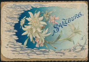 cca 1890 Salzburg 20 képet tartalmazó litografált leporello Dombor litografált címlappal. / 20 litho images leporello 13x9 cm