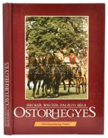 Hecker-Palágyi: Ostorhegyes. Bp., 1987. Mezőgazdasági