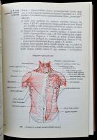 dr. Milthényi Mária: A sportmozgások anatómiai alapjai. Bp., 1980. Sport. egészvászon kötésben