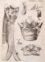 Jo. Baptistae Morgagni. In patavino gymnasio primarii anatomes professoris. Adversaria anatomica omn...