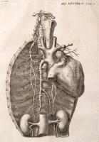 Jo. Baptistae Morgagni. In patavino gymnasio primarii anatomes professoris. Adversaria anatomica omn...