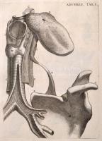 Jo. Baptistae Morgagni. In patavino gymnasio primarii anatomes professoris. Adversaria anatomica omn...