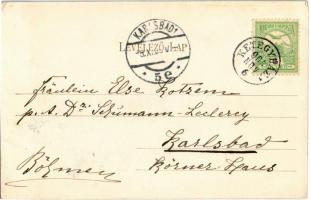 1905 Kétegyháza, Andrássy-Almásy kastély. Dobay János kiadása