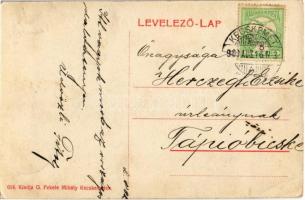 1909 Kecskemét, Rákóczi út, zsinagóga, Bélyeg áruda, piac (EK)