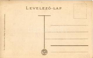 Székesfehérvár, Városháza, Wiener Gyula utóda Wiener Mór bőrkereskedése, Takács Jakab divatáruháza. ...