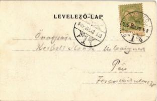 1905 Szeged, Városi gőzfürdő. Grünwald Hermann kiadása