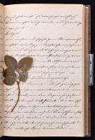 1882-1886 Theodora Peyfuss, szül. Theodora Tirka (Dorle) több száz oldalas német nyelvű kézzel írt b...