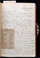 1882-1886 Theodora Peyfuss, szül. Theodora Tirka (Dorle) több száz oldalas német nyelvű kézzel írt b...