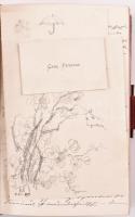 1882-1886 Theodora Peyfuss, szül. Theodora Tirka (Dorle) több száz oldalas német nyelvű kézzel írt b...