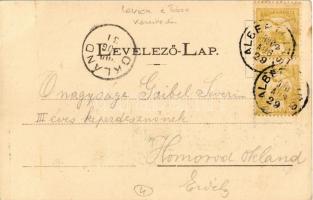 1900 Albertirsa, Alberti-Irsa; Zöldfa utca, Levien és Társa üzlete