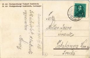 Csermajor (Vitnyéd), M. kir. Mezőgazdasági és Tejipari, Tejgazdasági szakiskola Herceg Esterházyi Mi...