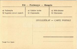 Fót, Népjóléti Intézmény, Tejkonyha, Ingyenes orvosi rendelő, belsők. Faragó Phot