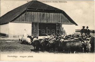 1903 Hortobágy, Magyar juhok, folklór. D.T.C.L. Ser. 270. 7. Kiadja Komáromi