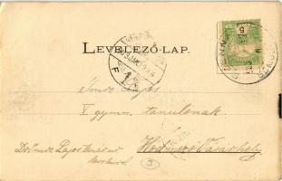 1903 Kaposvár, Somssich Pál utca, Gimnázium, Lang Jakab és Társa fűszer kereskedése, Pálffy János üz...