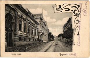 1905 Kaposvár, János utca. Kiadja Fenyvesi Béla, Art Nouveau