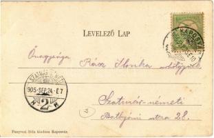 1905 Kaposvár, János utca. Kiadja Fenyvesi Béla, Art Nouveau