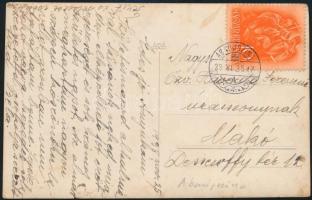 1938 Abaújszina (Seňa), Szoborleleplezés, megírt, elküldött fotólap, 8,5×13,5 cm